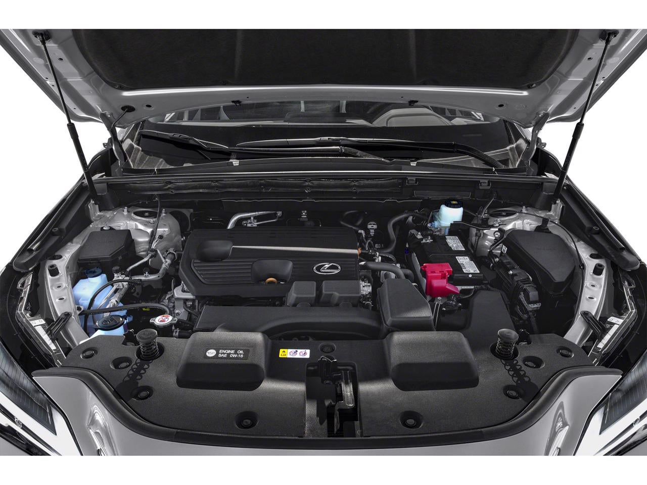 2024 Lexus NX 250 Base