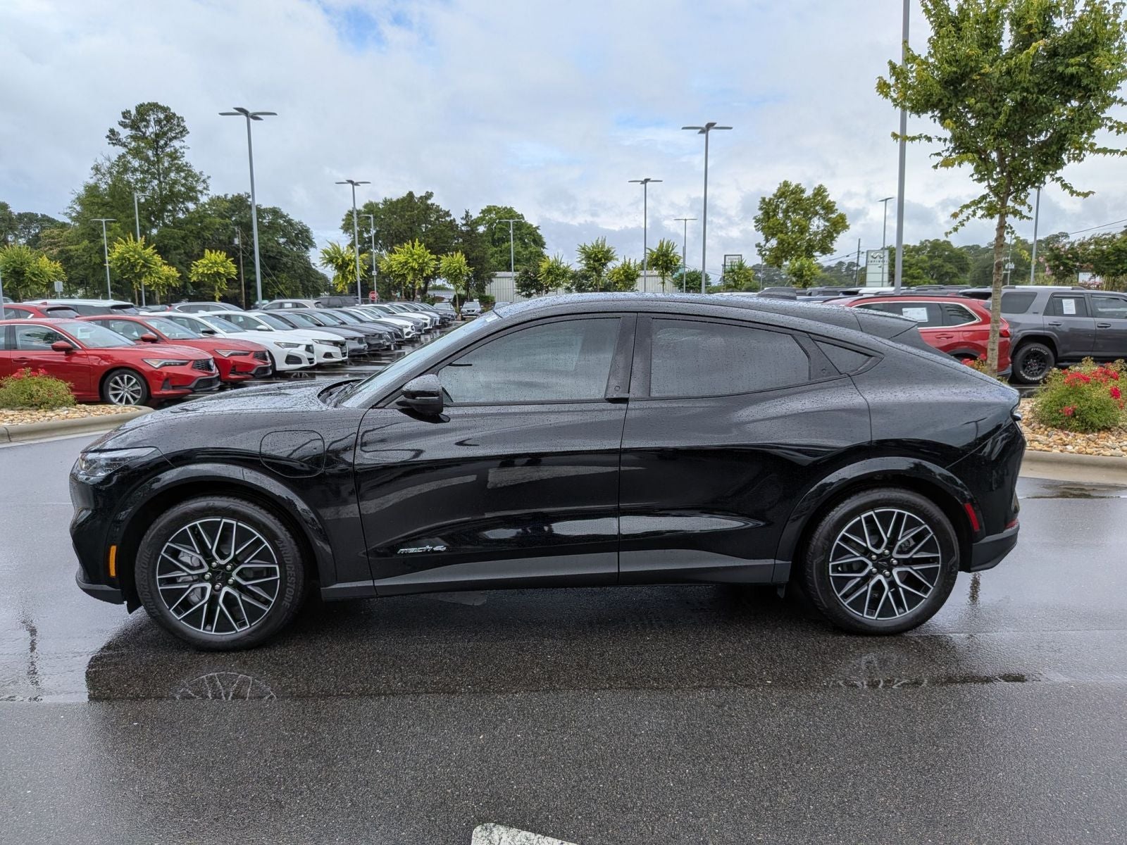 2025 Ford Mustang Mach-E Premium AWD - Photo 6
