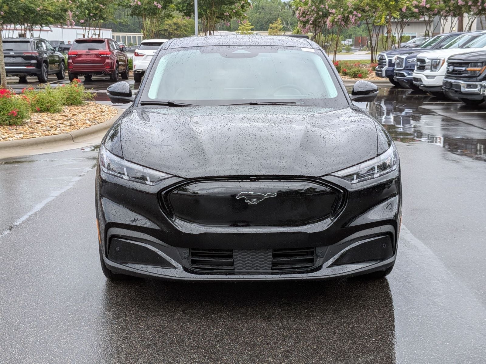 2025 Ford Mustang Mach-E Premium AWD - Photo 8