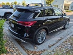 2024 INFINITI QX50 Sensory