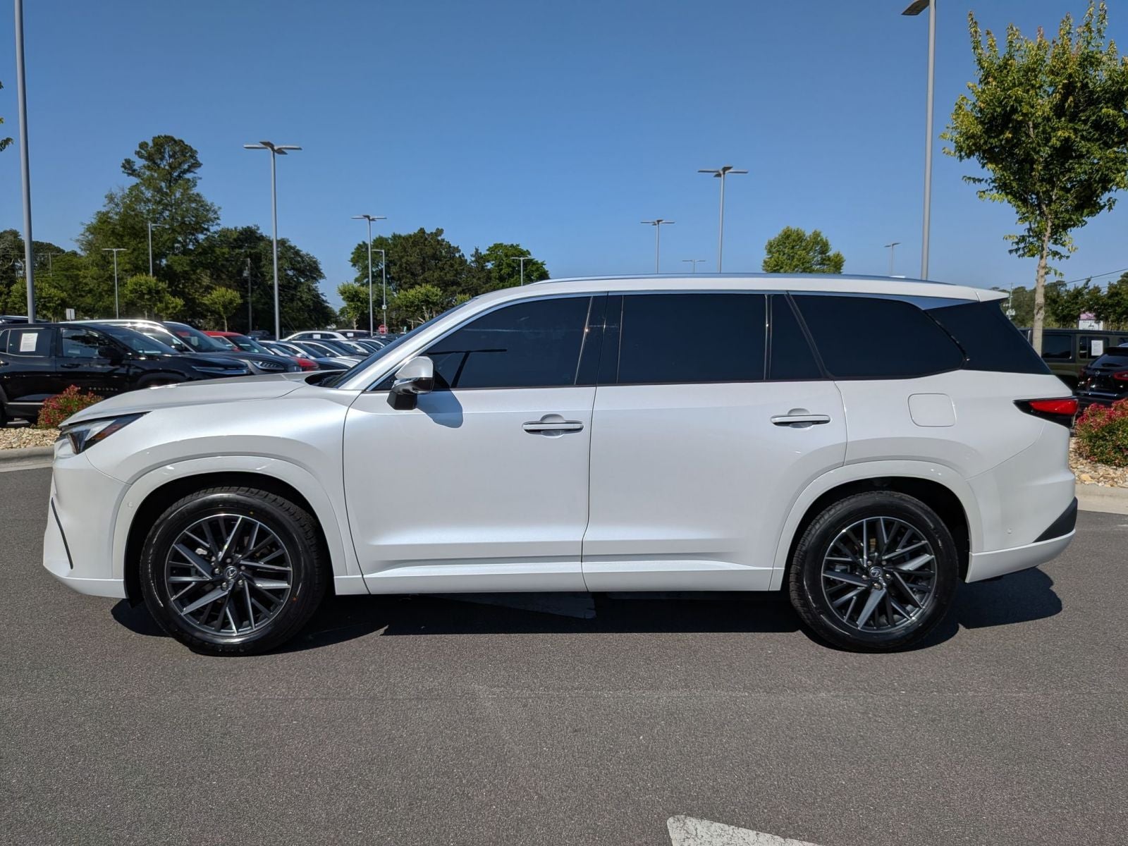 2024 Lexus TX 350 Premium