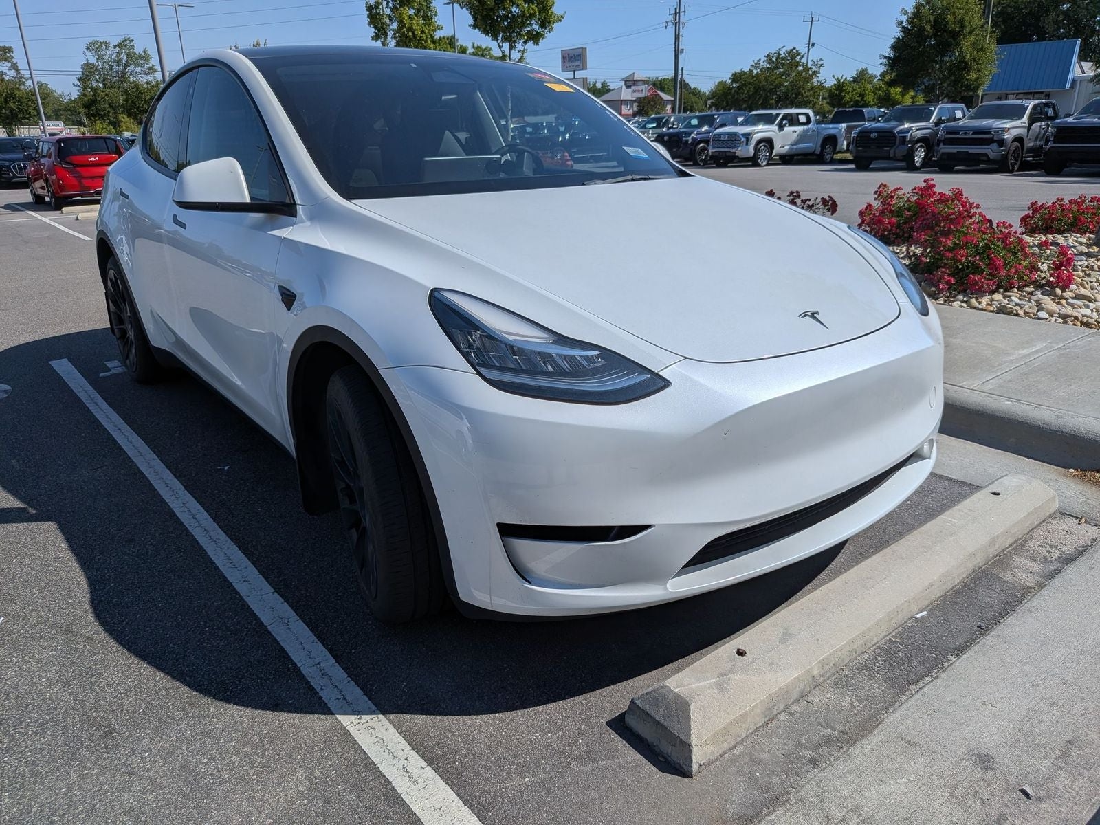 2023 Tesla Model Y Long Range Dual Motor All-Wheel Drive's photo