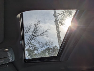 2021 INFINITI QX80 Sensory