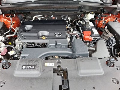 2024 Lexus NX 250 Base