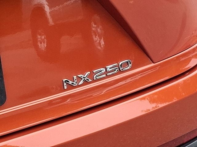 2024 Lexus NX 250 Base