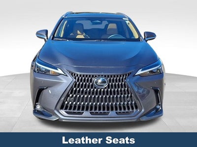 2024 Lexus NX 250 Premium