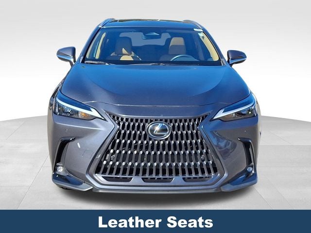 2024 Lexus NX 250 Premium