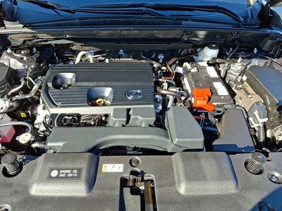 2024 Lexus NX 250 Premium