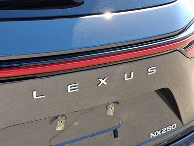 2024 Lexus NX 250 Premium