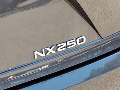 2024 Lexus NX 250 Premium