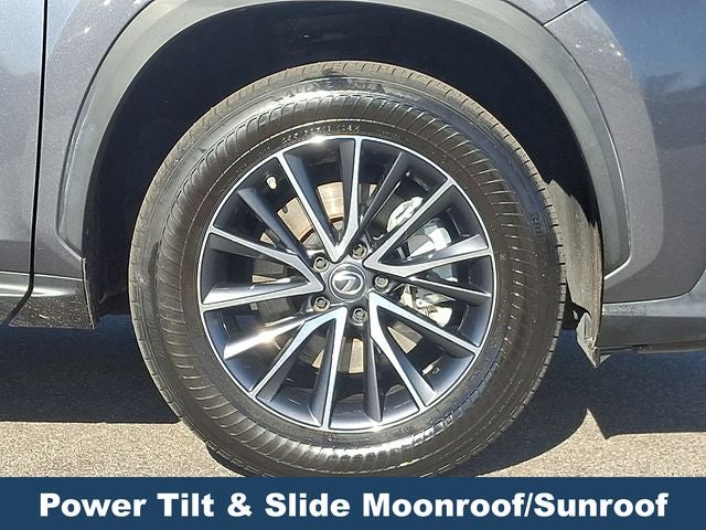 2023 Lexus NX 350 Premium