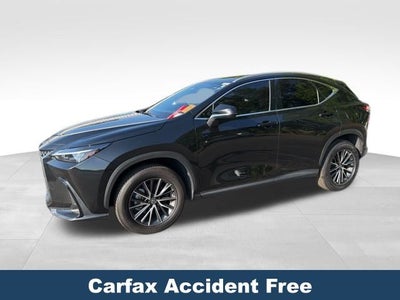 2023 Lexus NX 350 Premium