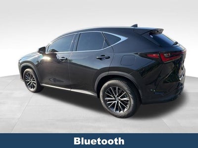 2023 Lexus NX 350 Premium