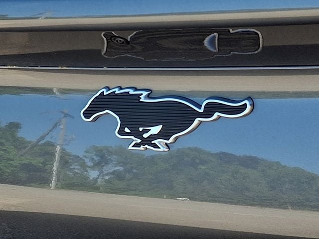 2021 Ford Mustang Mach-E Select