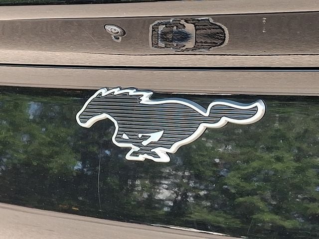 2022 Ford Mustang Mach-E Select