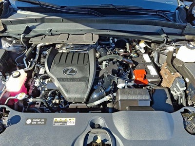 2024 Lexus TX 350 Luxury