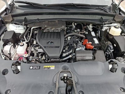 2024 Lexus TX 350 Premium