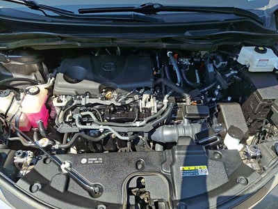 2021 Toyota Sienna XLE 8 Passenger