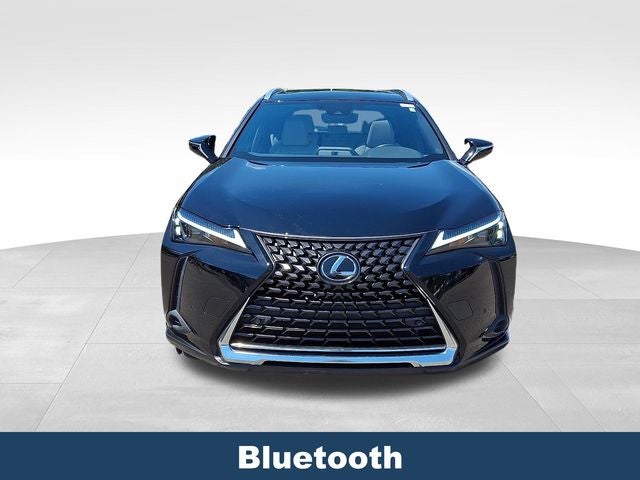 2023 Lexus UX 250h Premium