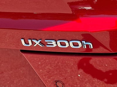 2025 Lexus UX 300h F SPORT Design