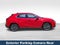 2025 Lexus UX 300h F SPORT Design