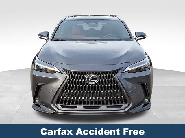 2024 Lexus NX 350h Premium