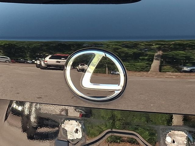 2020 Lexus NX 300 F Sport
