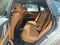 2025 BMW i4 eDrive40