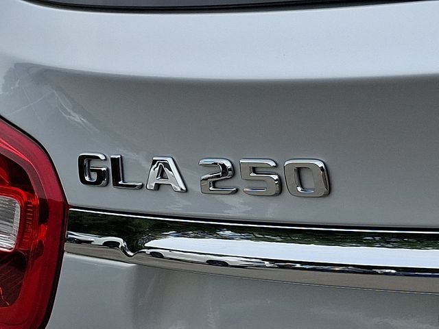 2019 Mercedes-Benz GLA GLA 250
