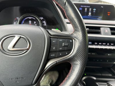 2021 Lexus UX 250h F SPORT