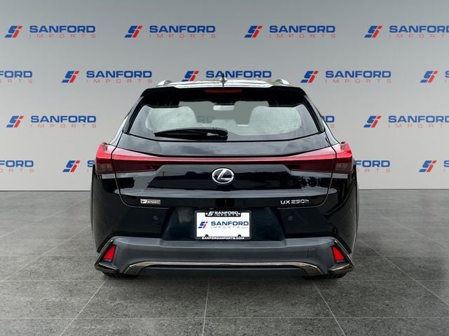 2021 Lexus UX 250h F SPORT