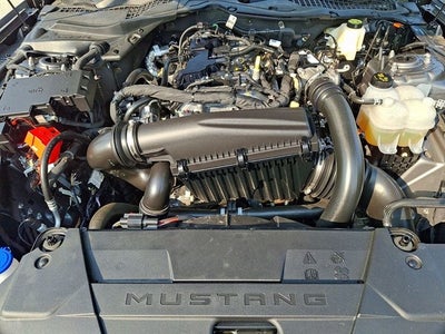 2025 Ford Mustang EcoBoost