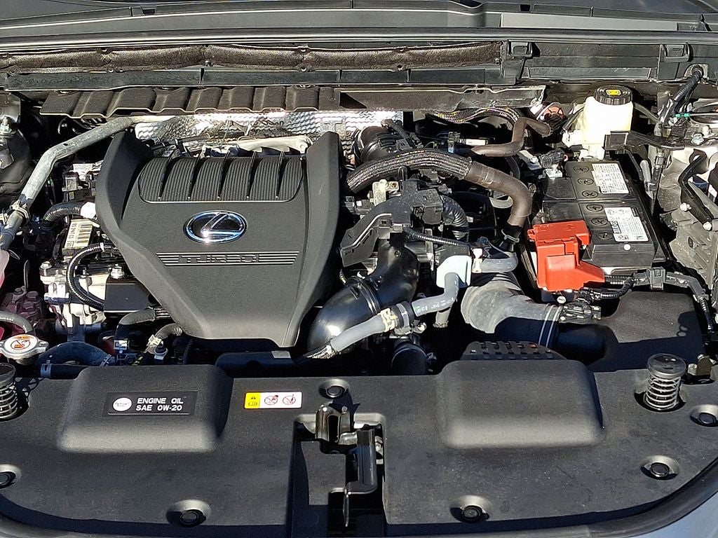 2025 Lexus NX 350 Base