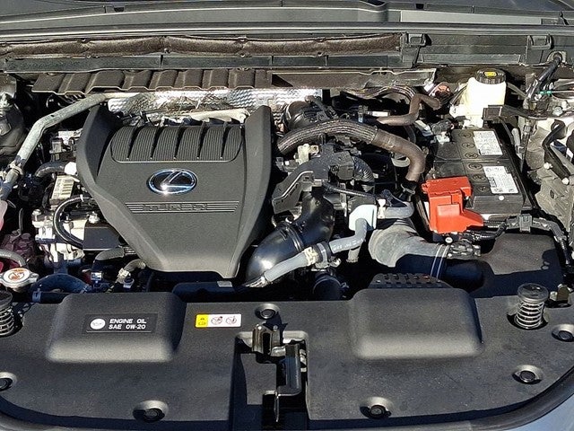 2025 Lexus NX 350 Base